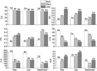 Seasonal Variation Characteristics of C, N, and P Stoichiometry and Water Use Efficiency of Messerschmidia sibirica and Its Relationship With Soil Nutrients